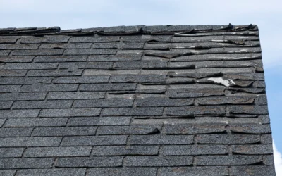 Is It Time for a New Roof? 5 Signs to Look For