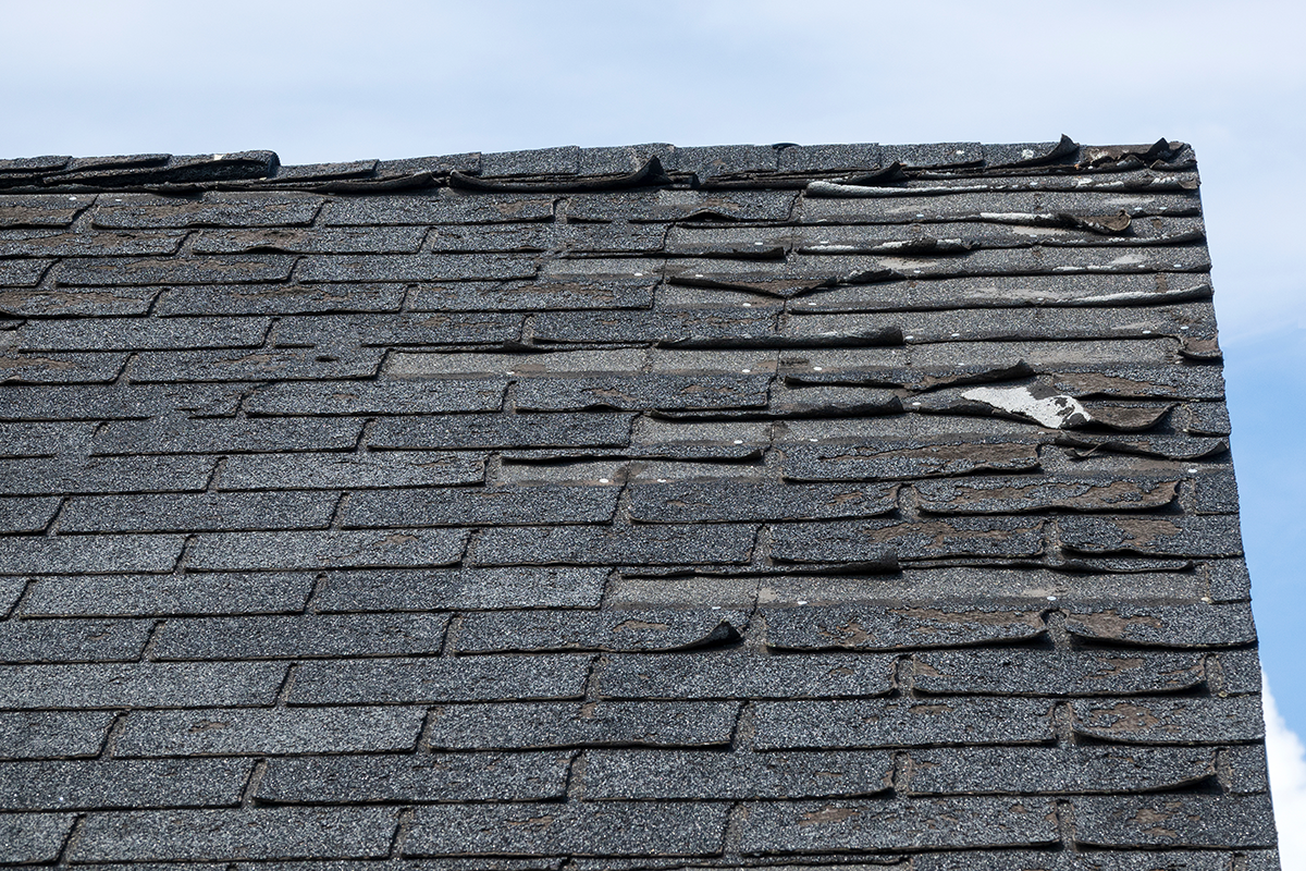 badly damage roof shingles