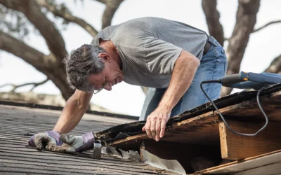 DIY Roof Repairs vs. Professional Roofing Services